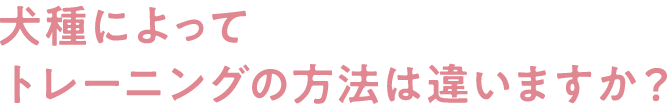 犬種によってトレーニングの方法は違いますか？