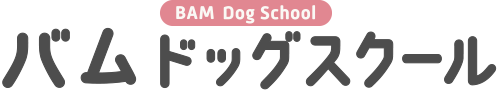 バムドッグスクール