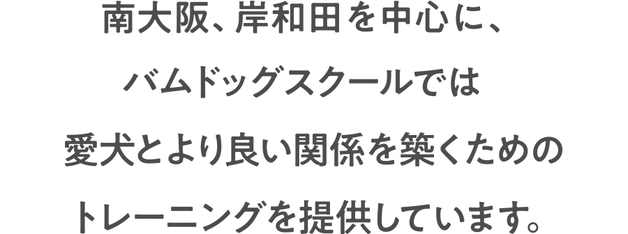 南大阪、岸和田を中心に、バムドッグスクールでは愛犬とより良い関係を築くためのトレーニングを提供しています。