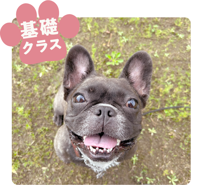 基礎クラス